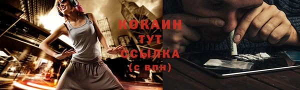 стаф Абаза